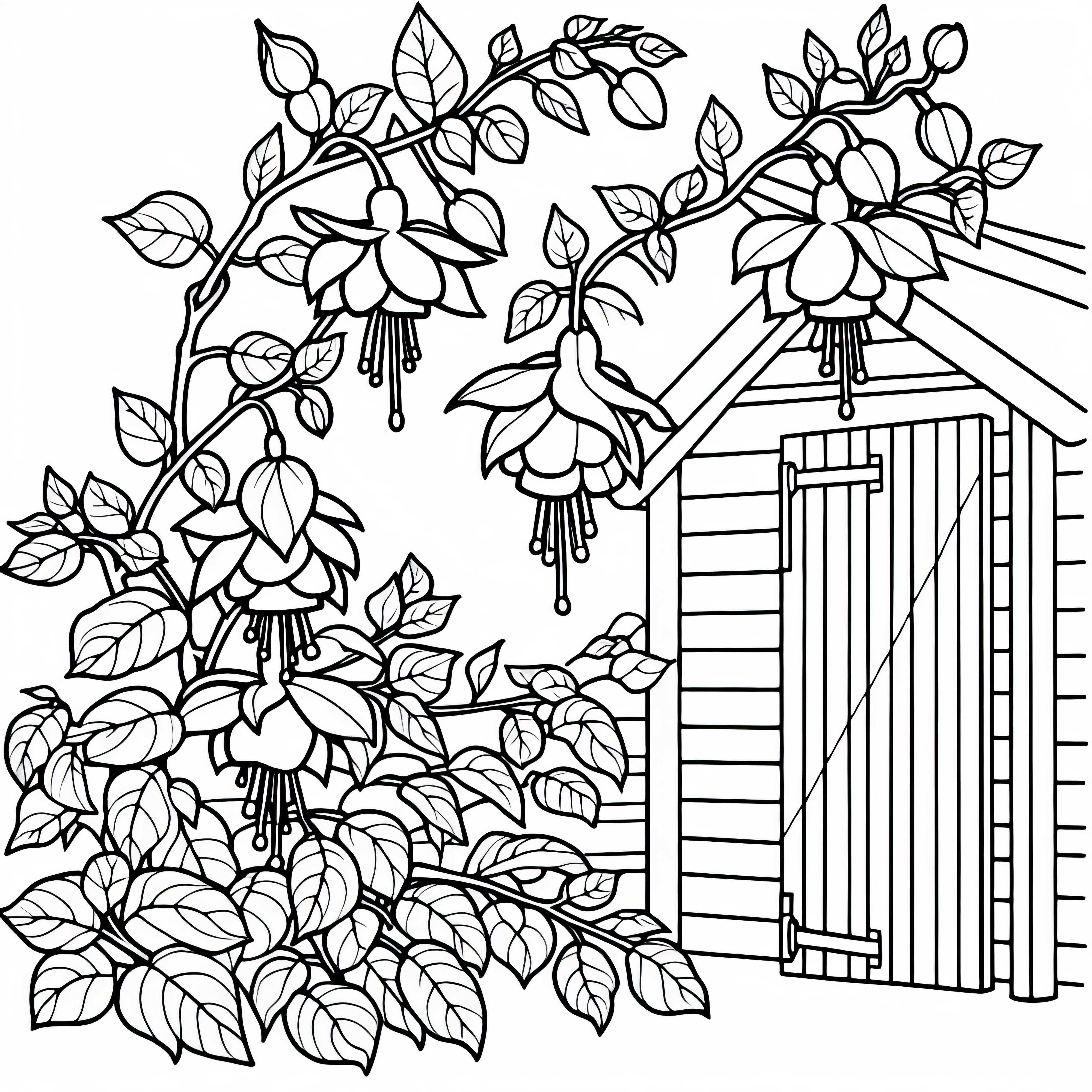 Fuchsien Ausmalbild Kostenlos zum Herunterladen Fuchsien Ausmalbild Kostenlos zum Herunterladen