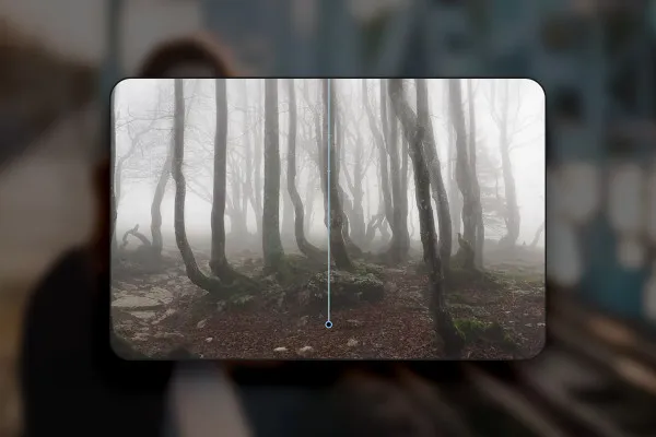 Affinity Photo (best-of hacks): 10 | Mystical forest effect with just a few clicks