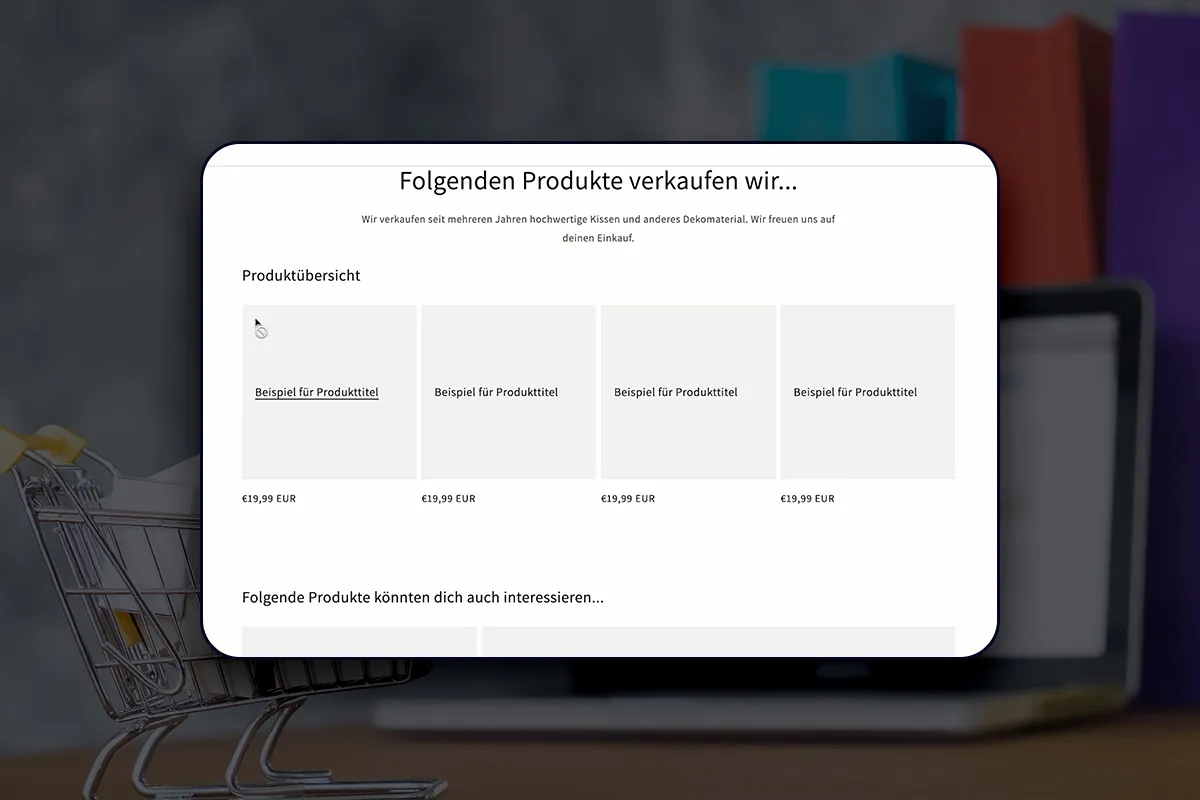 E-Commerce-Kurs: 5.22 | Shopify – andere Seiten bearbeiten