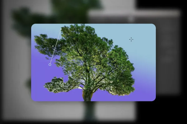 Crop photos using AI: 04 | Crop a tree in Photoshop with and without the help of AI