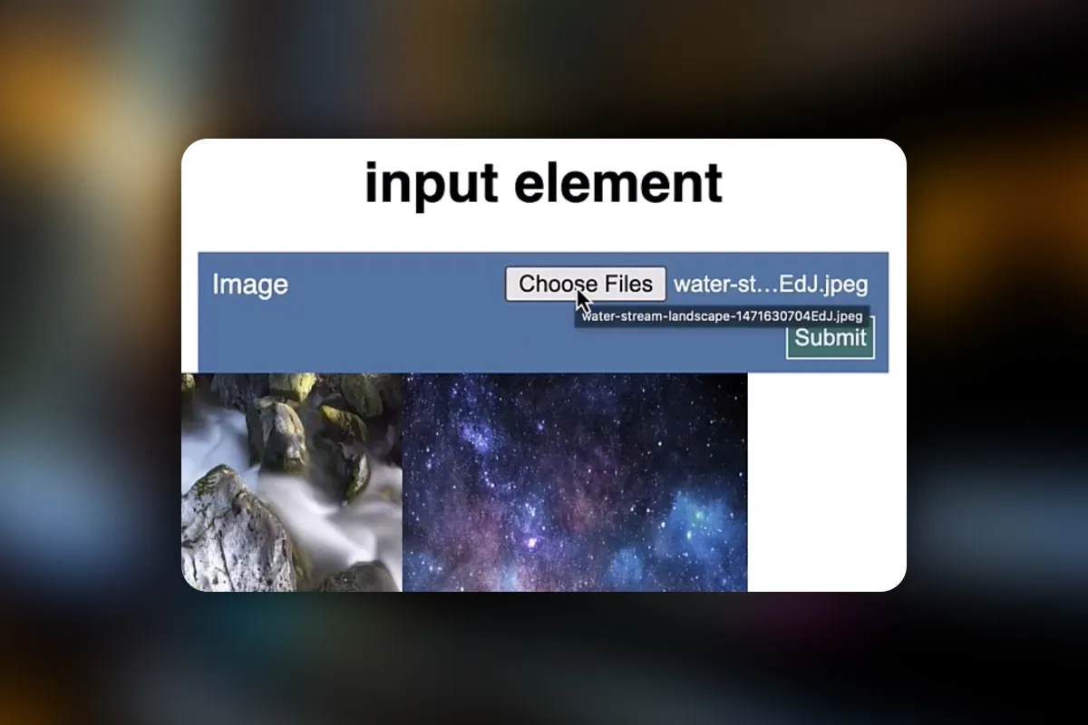 Web-Formulare erstellen: 5.3 | File Input mit JS
