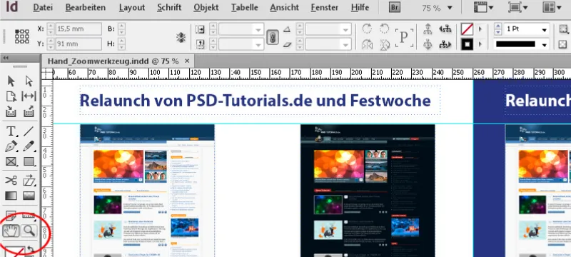 Das Hand- und das Zoom-Werkzeug in InDesign