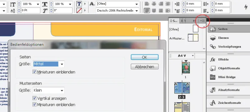 Navigation und Ansichtsmodi in InDesign