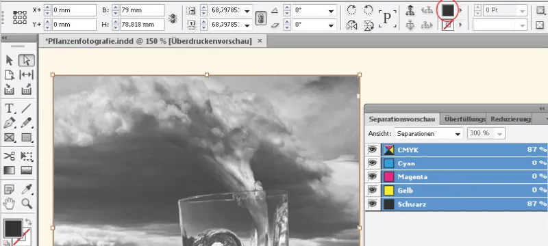 Bilder platzieren, einpassen und einfärben in InDesign