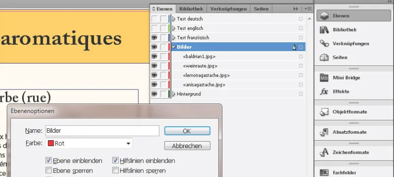 The level function in InDesign