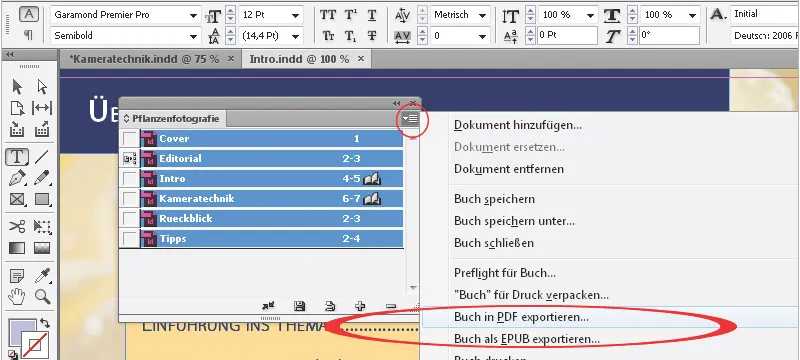 Die Buchfunktion in InDesign