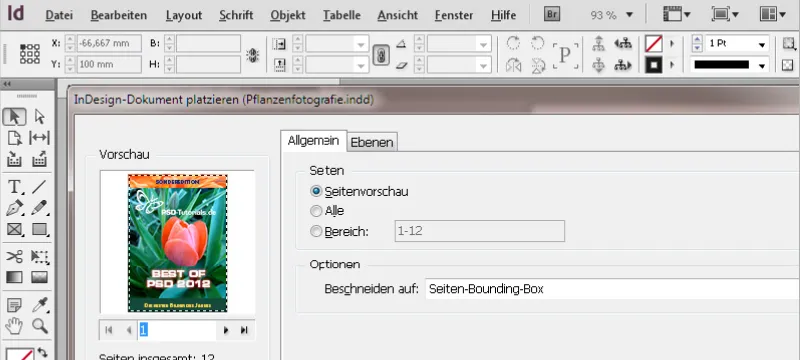 Arbeit mit Variablen und lebenden Kolumnentiteln in InDesign