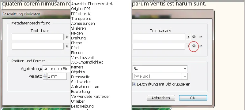 Bildunterschriften in InDesign