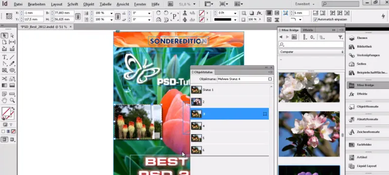 Galleries within InDesign documents