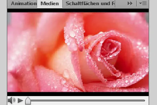 Embedding videos in InDesign