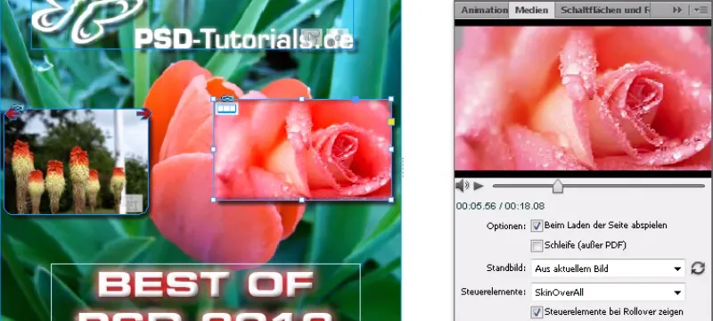 Videos einbinden in InDesign