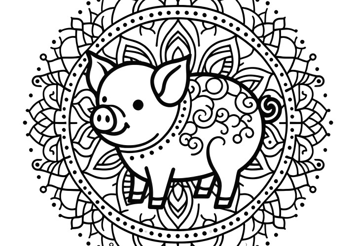 Magie des mandalas animalier : image à colorier avec un cochon