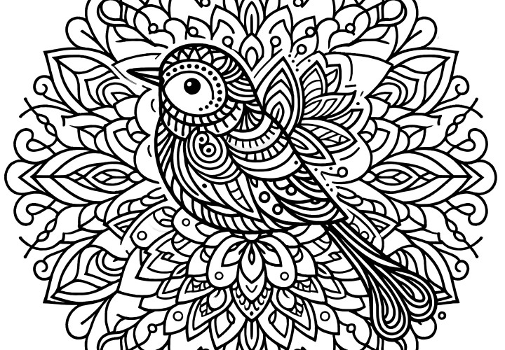 Mandala d'oiseaux : Téléchargement gratuit et coloriage créatif