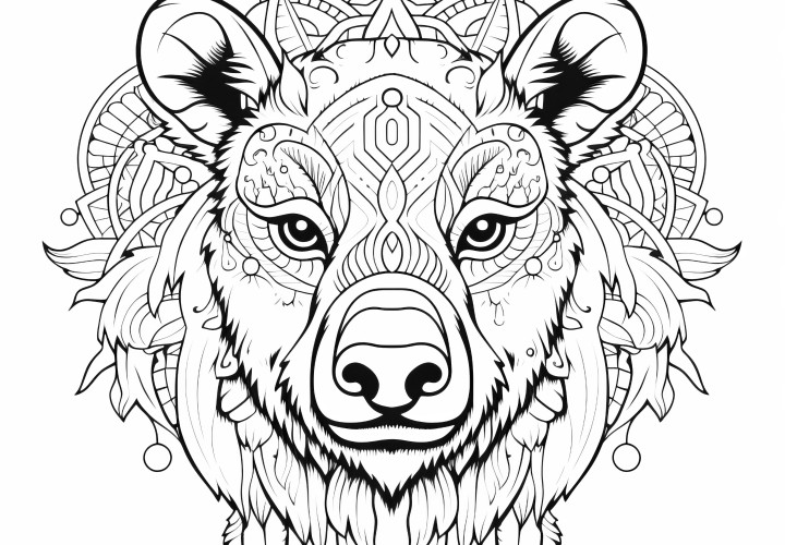 Cher visage d'ours : Mandala gratuit à télécharger