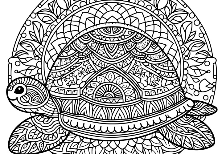 Mandala de tortue complexe : image à colorier gratuite à télécharger