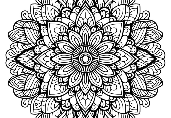 Intricate floral mandala: The perfect coloring picture from nature