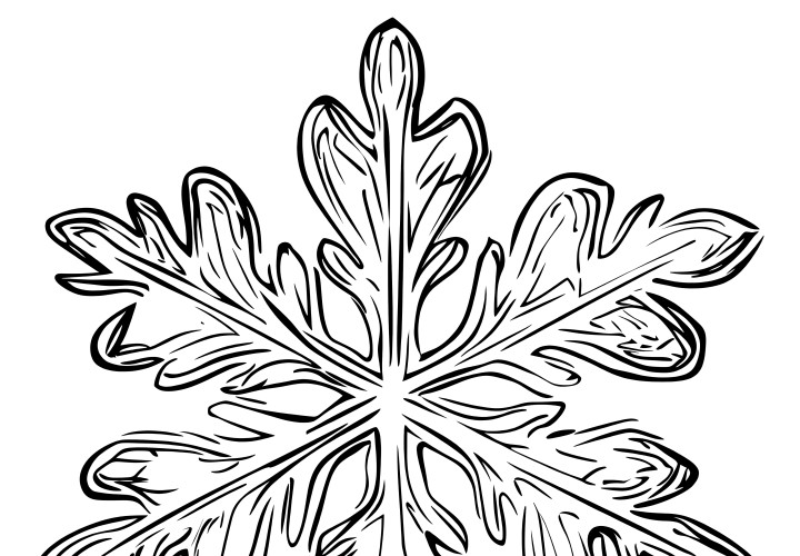 Snowflake with rounded contours: free coloring page