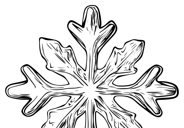 Snowflake: Coloring page available for free download