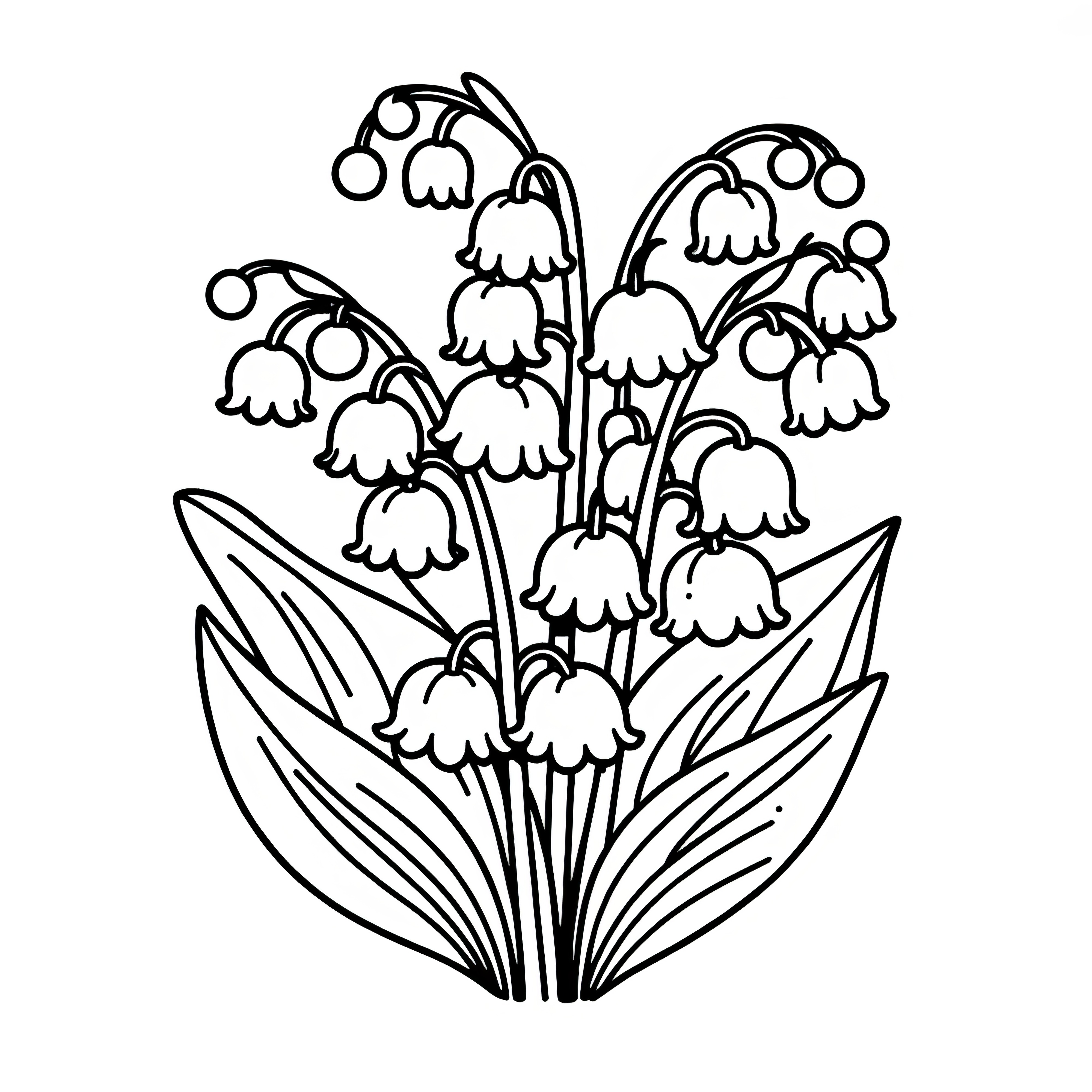 Lily of the valley: Simple coloring page (Free)