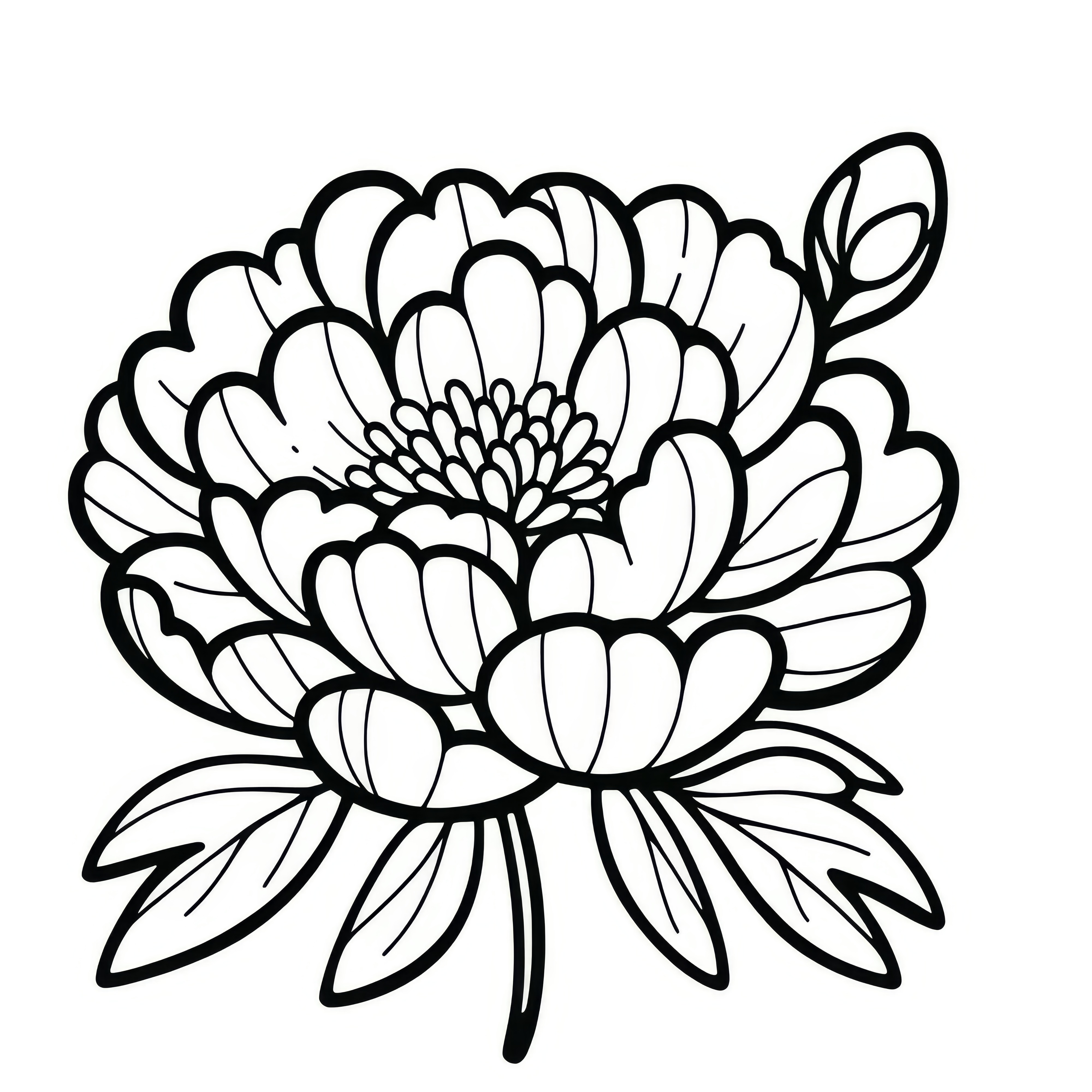 Peony blooming: Simple coloring page for coloring (Free)