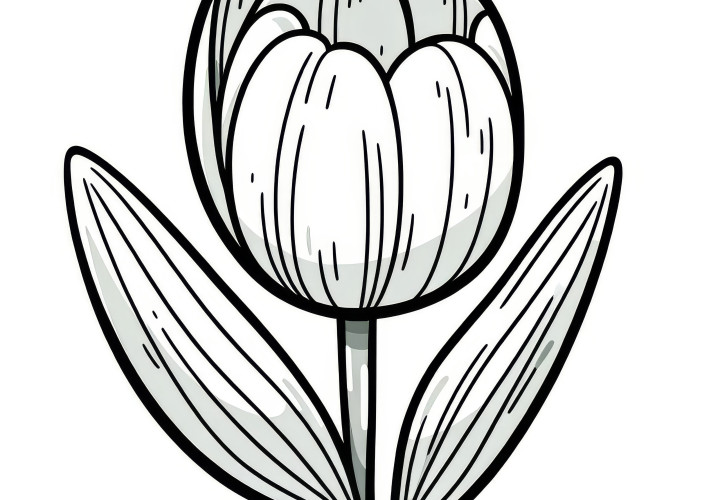 Tulip as a coloring page for download (Free)