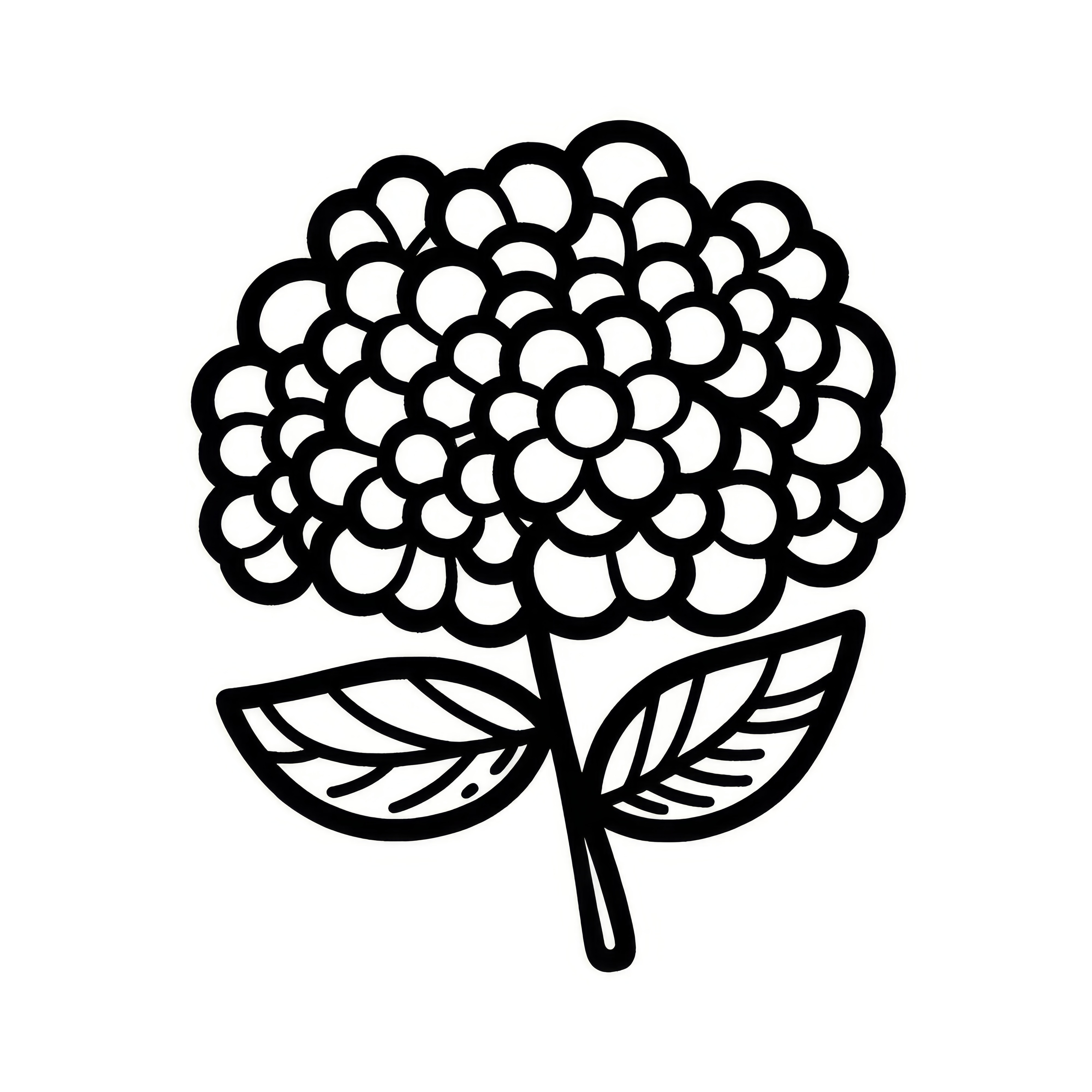 Hydrangea blossom: Simple coloring page (Free)