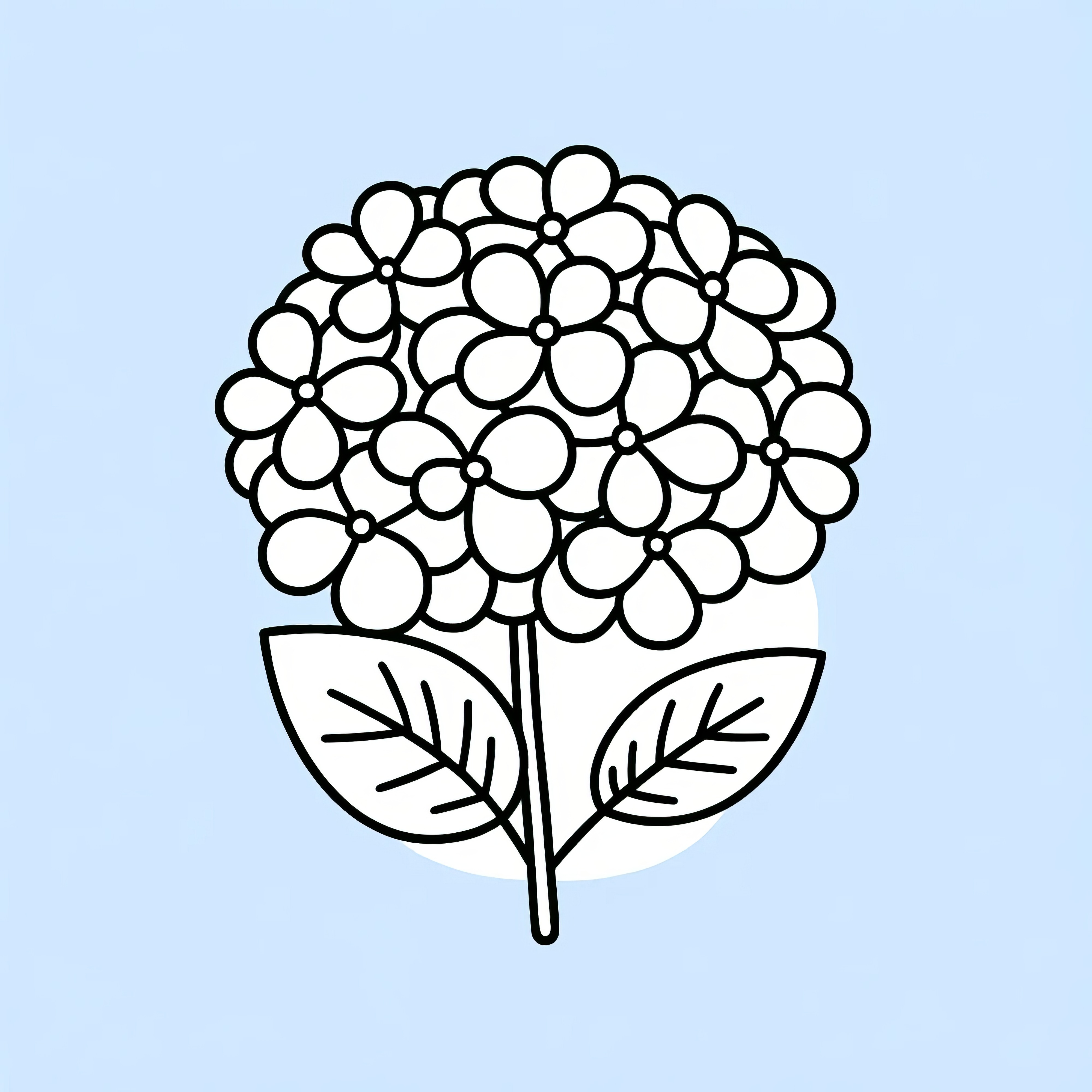 Hydrangea blossoms: Simple coloring template for children (Free)