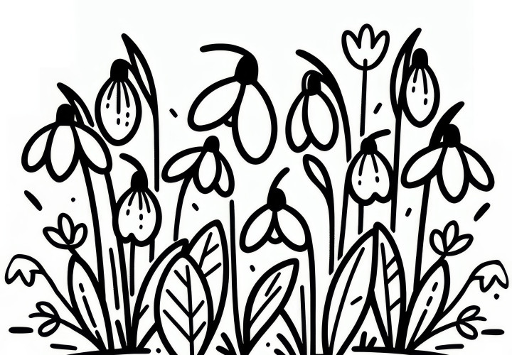 Märzenbecher: Spring flower as a coloring page