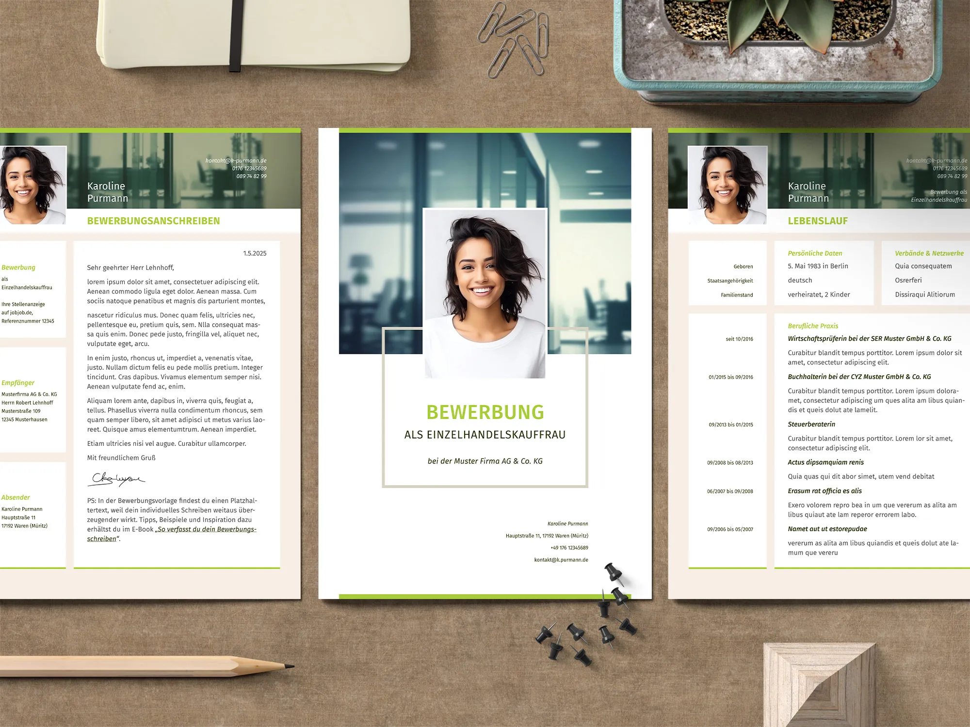 Professional in recycling & waste management: Application template, resume