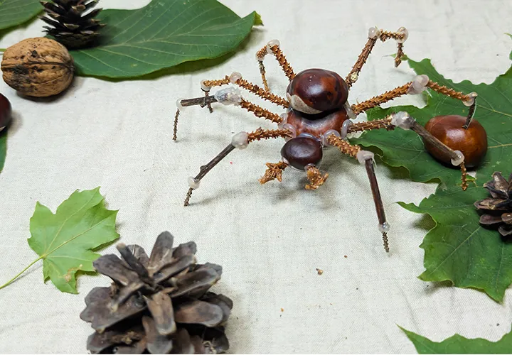 Spin van kastanjes: Herfstknutselen voor kinderen