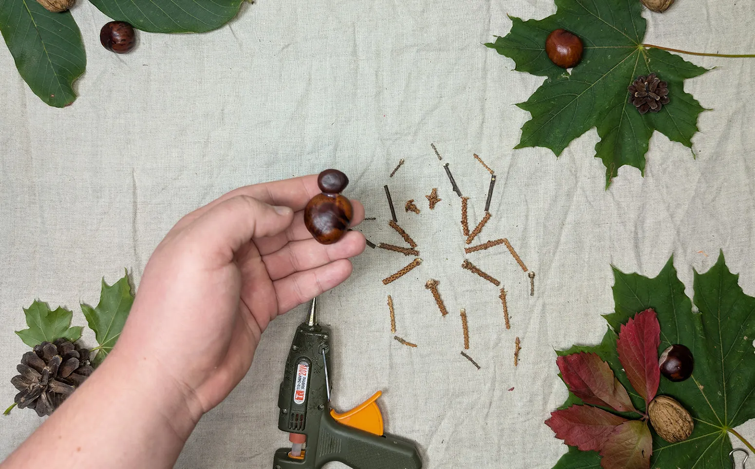 Araña de castañas, paso 2: Crear el cuerpo y la cabeza