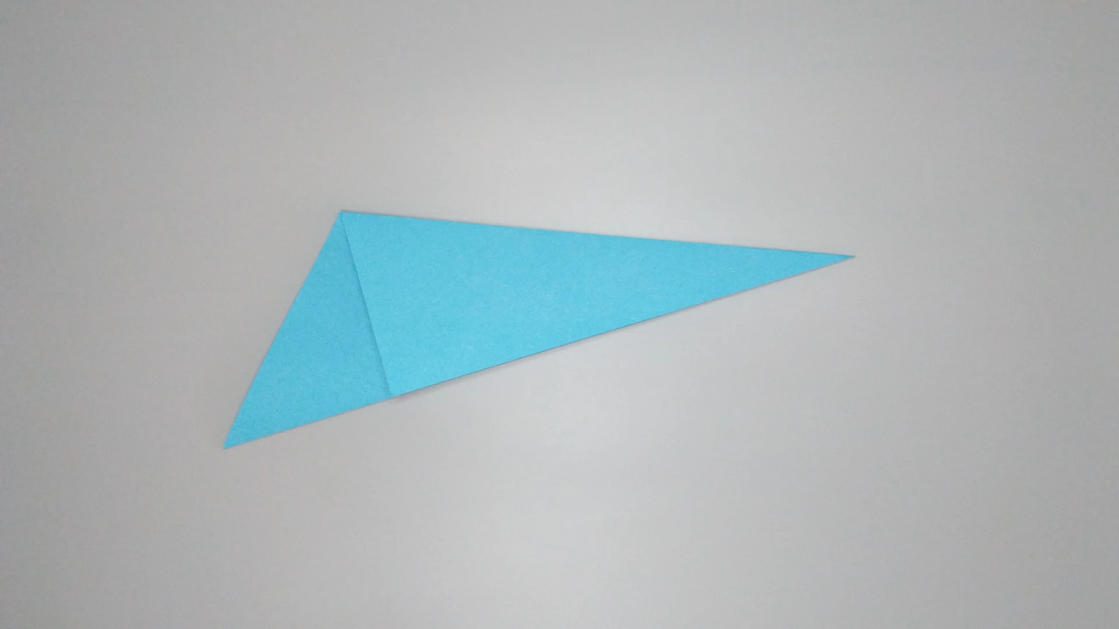 Instrucciones con fotos para doblar un cisne de origami. Paso № 5