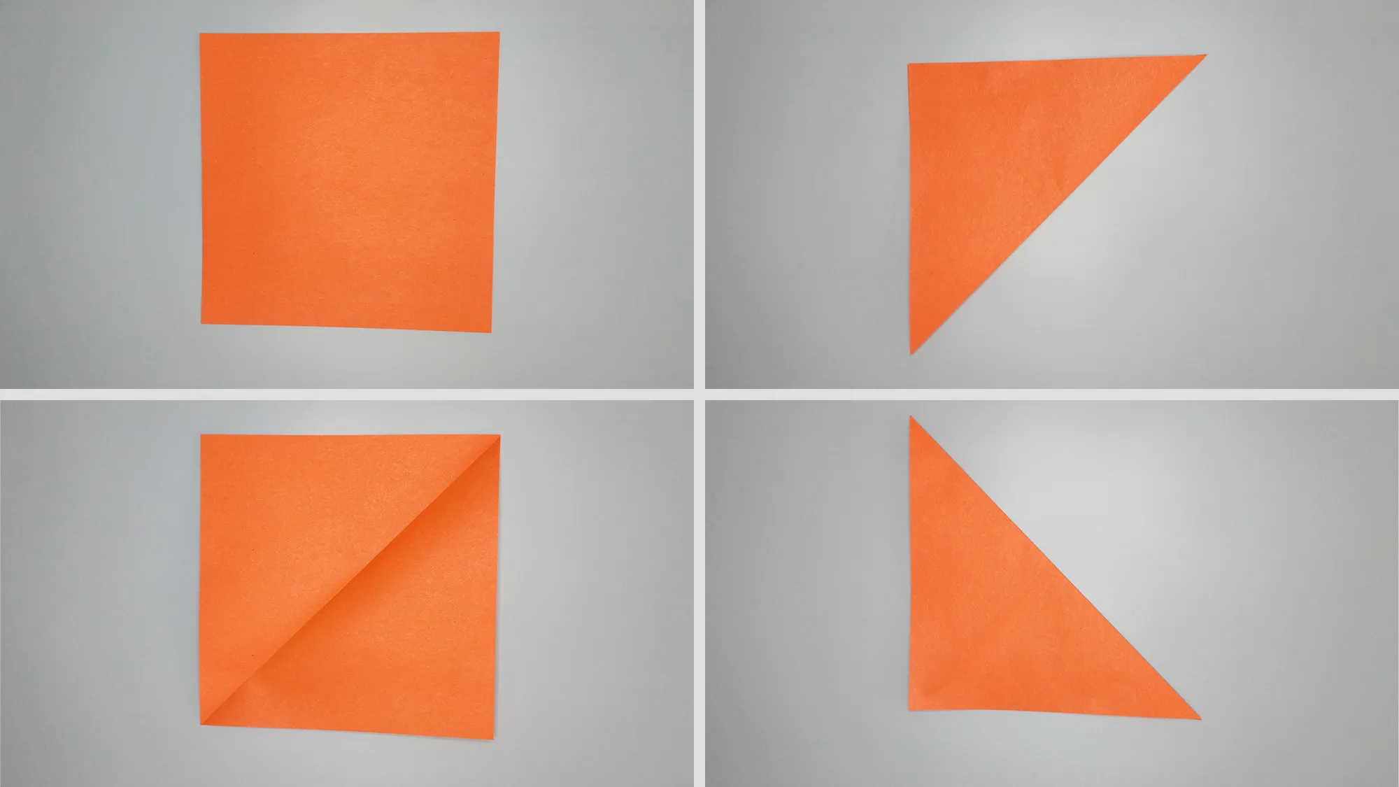 Make a paper bird - Origami instructions for a parrot. Step 1