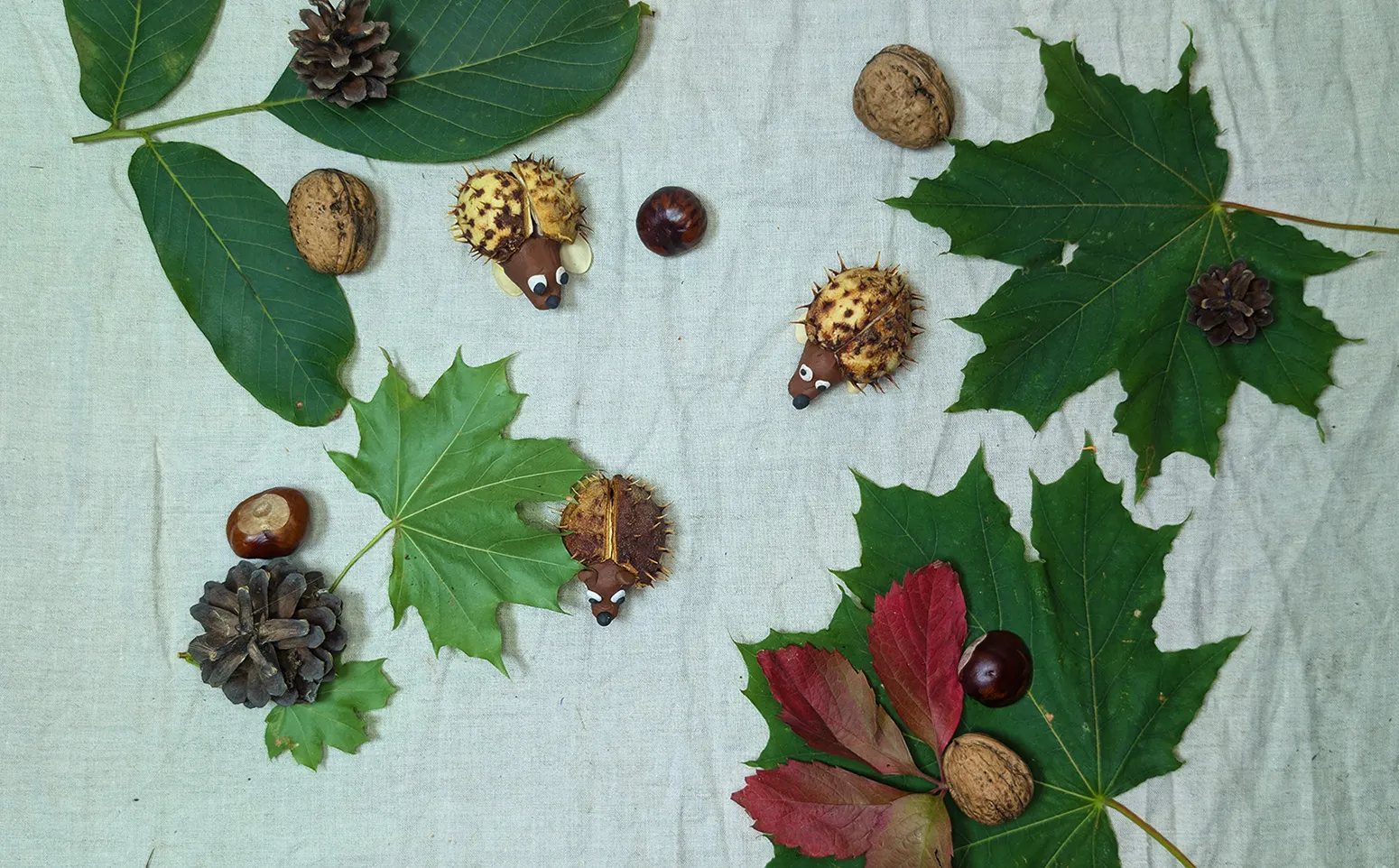 Hérisson en marrons, étape 5 : Achèvement et décoration de l'œuvre artisanale