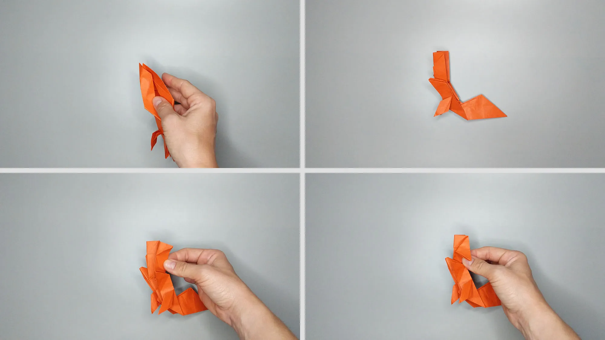 Origami voverė: 23 žingsnis