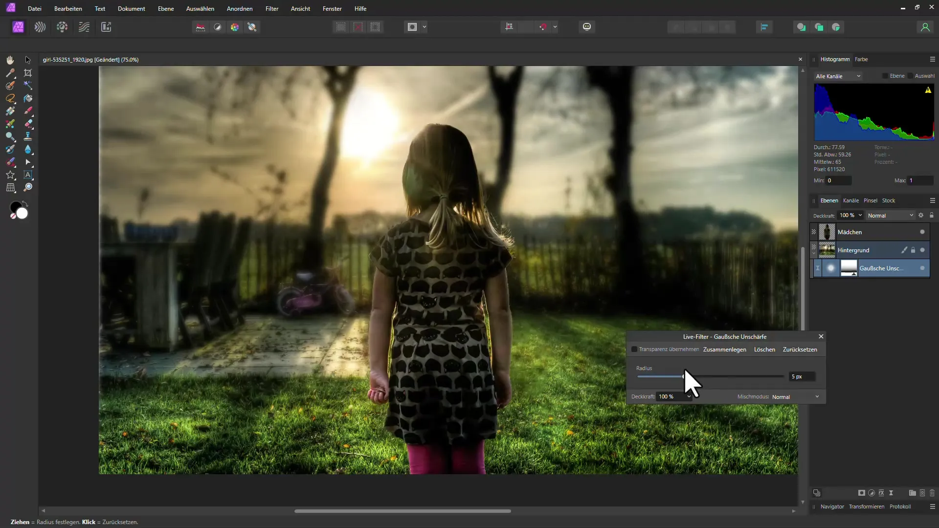 Apply efficient depth of field in Affinity Photo