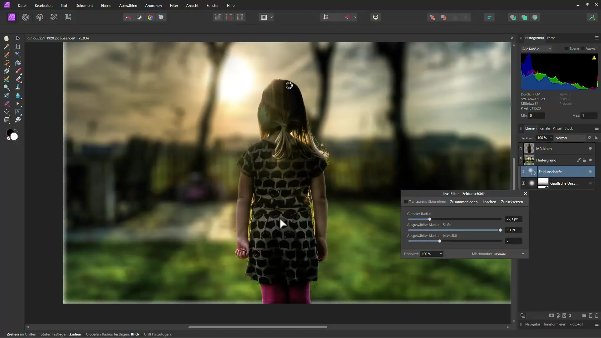 Menerapkan efek buram kedalaman yang efisien di Affinity Photo