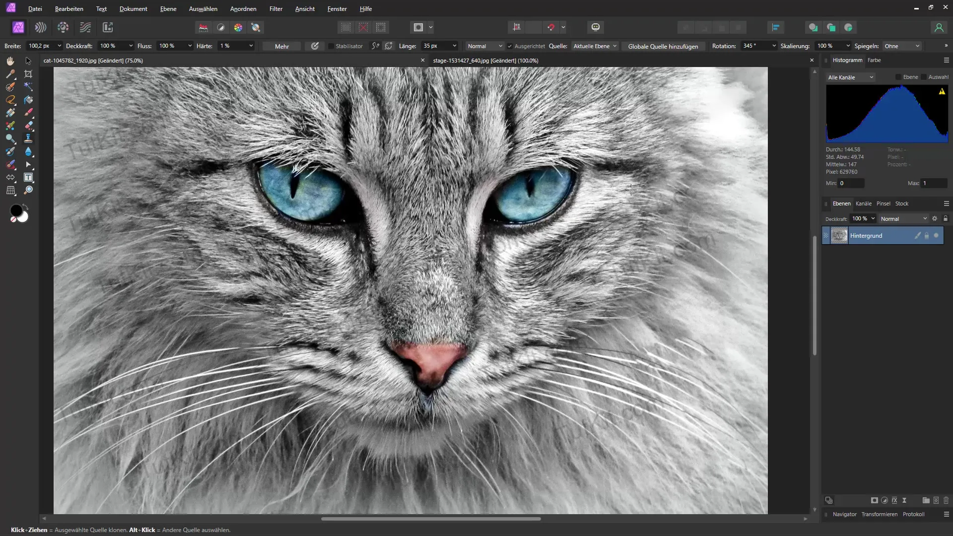 Fjern vannmerker i Affinity Photo og AI-verktøy - Effektive metoder for bildebehandling