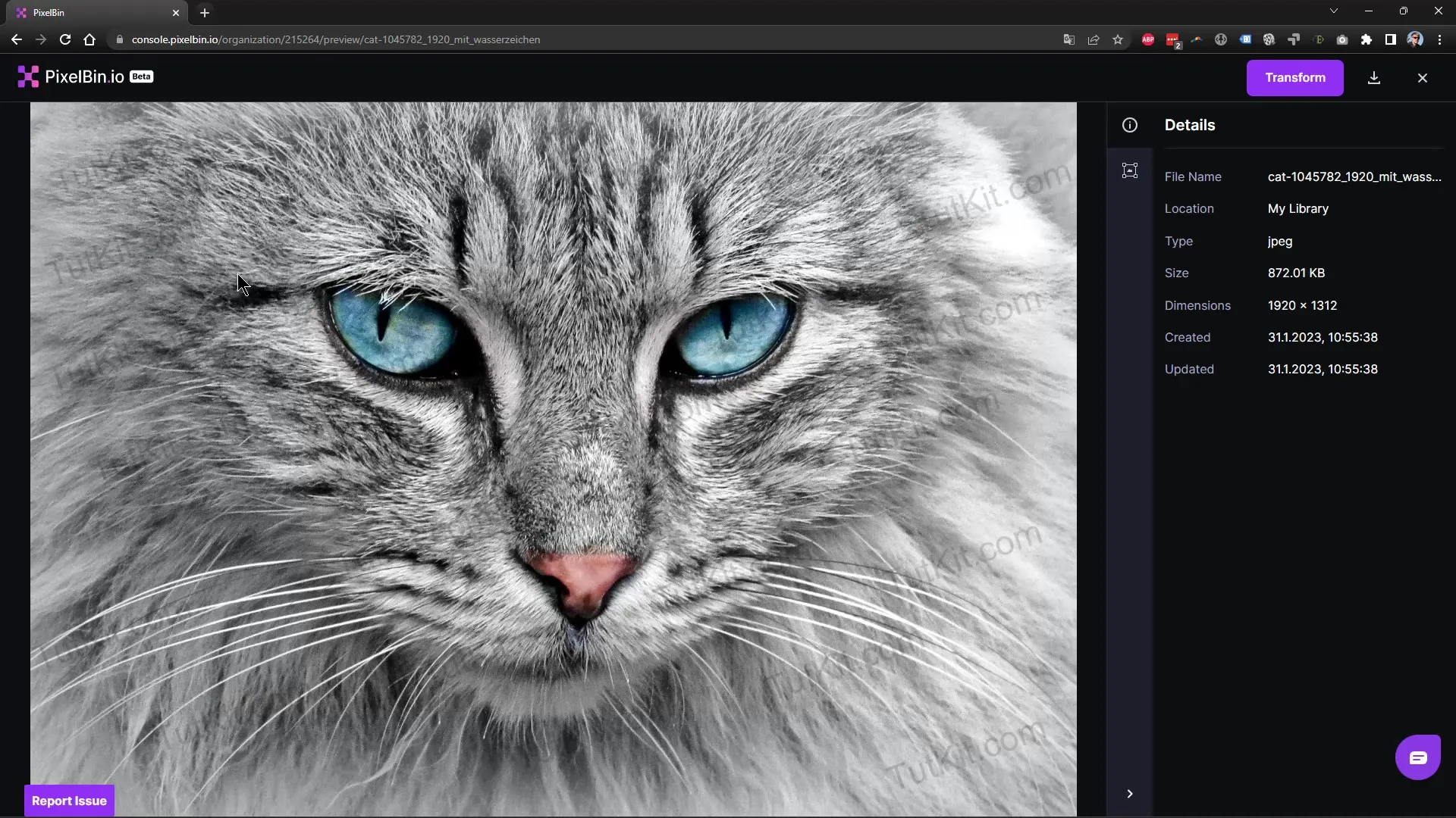 Menghapus watermarks di Affinity Photo dan alat kecerdasan buatan - Metode efektif untuk pengeditan gambar