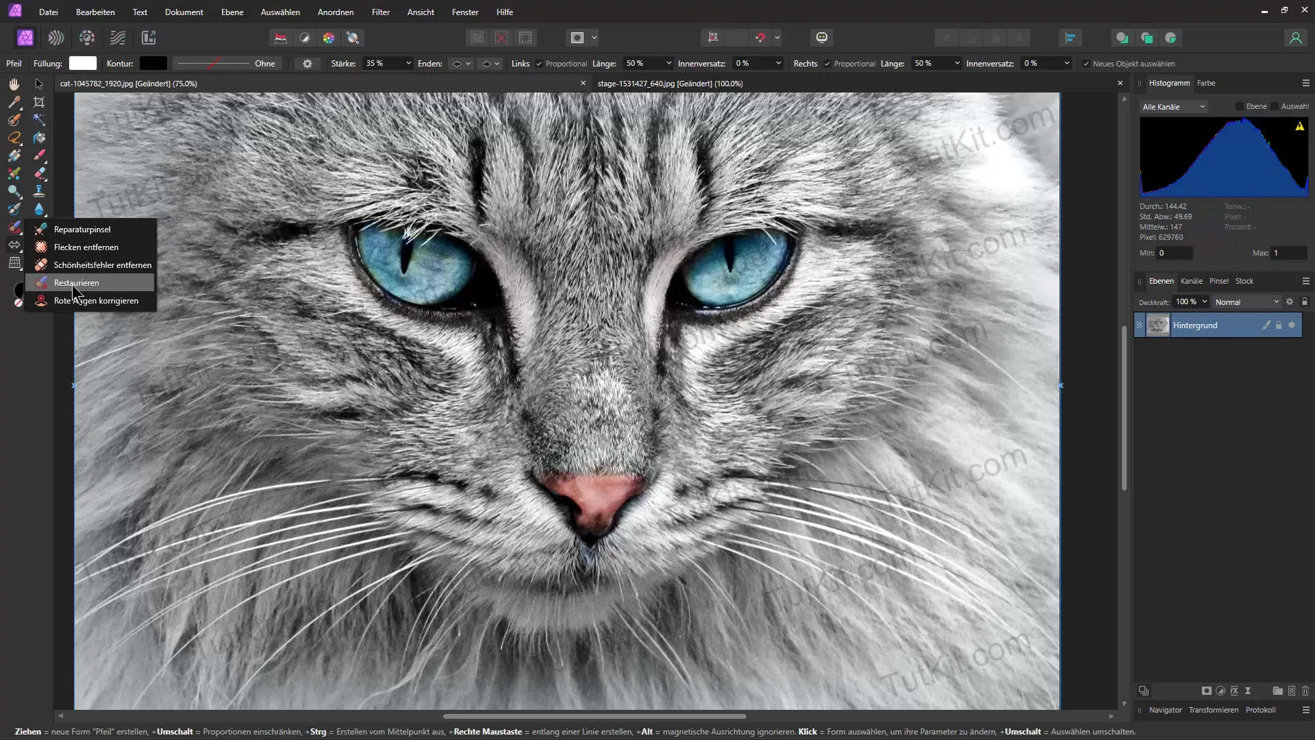 Remove watermarks in Affinity Photo and AI tools - Effective methods for image editing