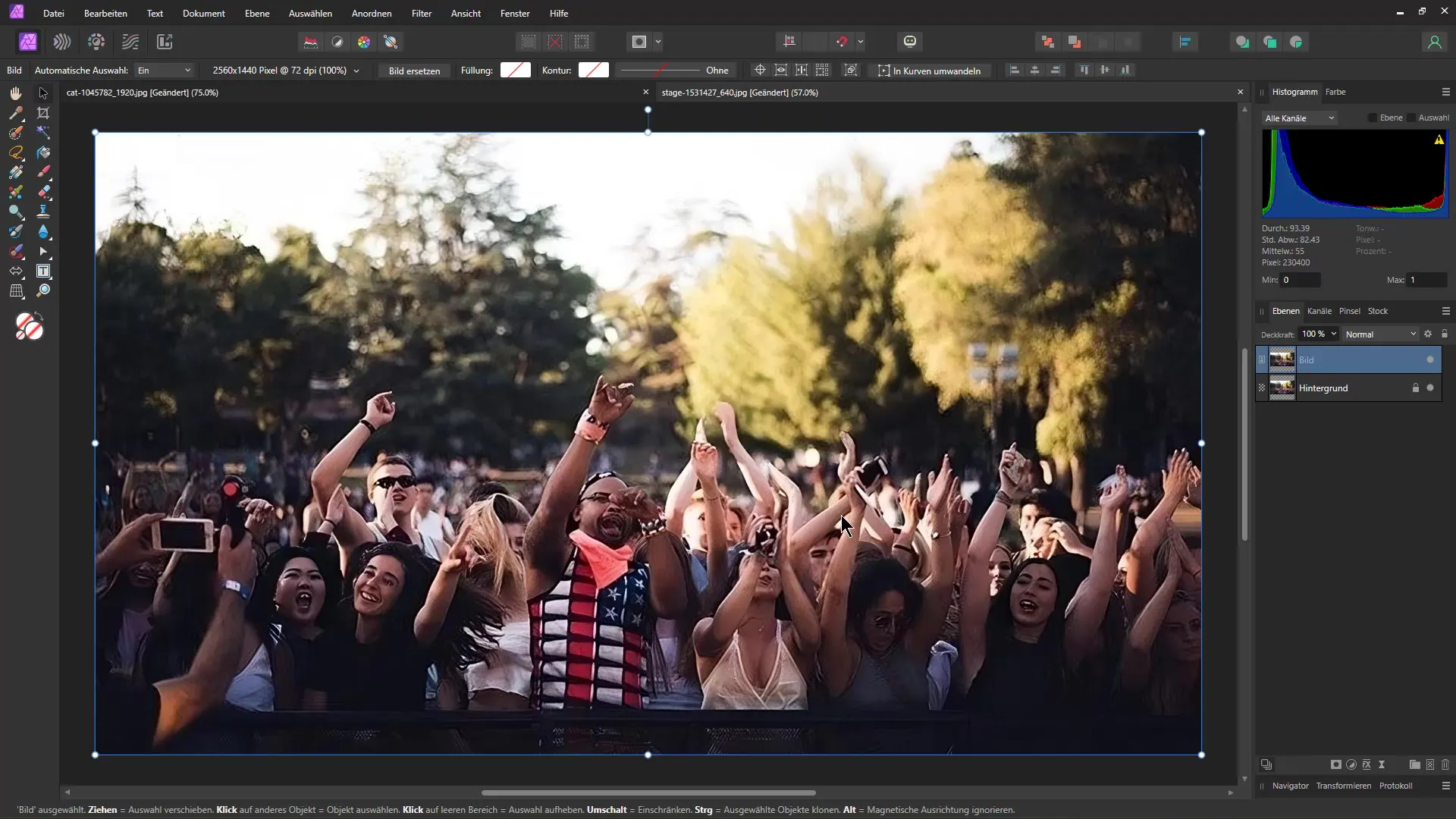 Menghapus watermark di Affinity Photo dan alat KI - Metode efektif untuk pengeditan gambar