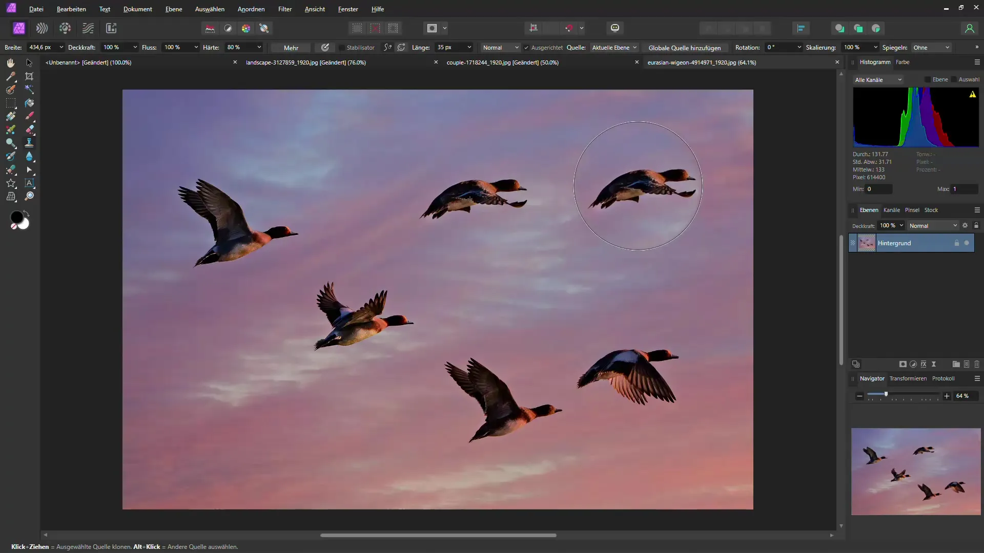 Pemanfaatan Affinity Photo yang efisien: 8 tips berguna bagi desainer kreatif