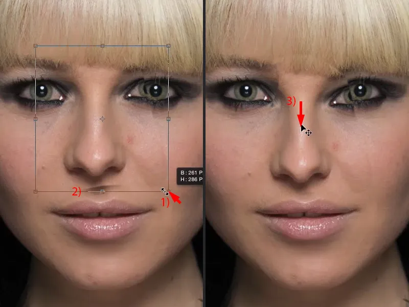 Looks & Styles with Photoshop - Replacing large areas Looks & Styles with Photoshop - Replacing large areas