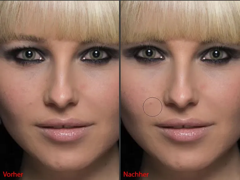 Looks & Styles with Photoshop - Replacing large areas Looks & Styles with Photoshop - Replacing large areas