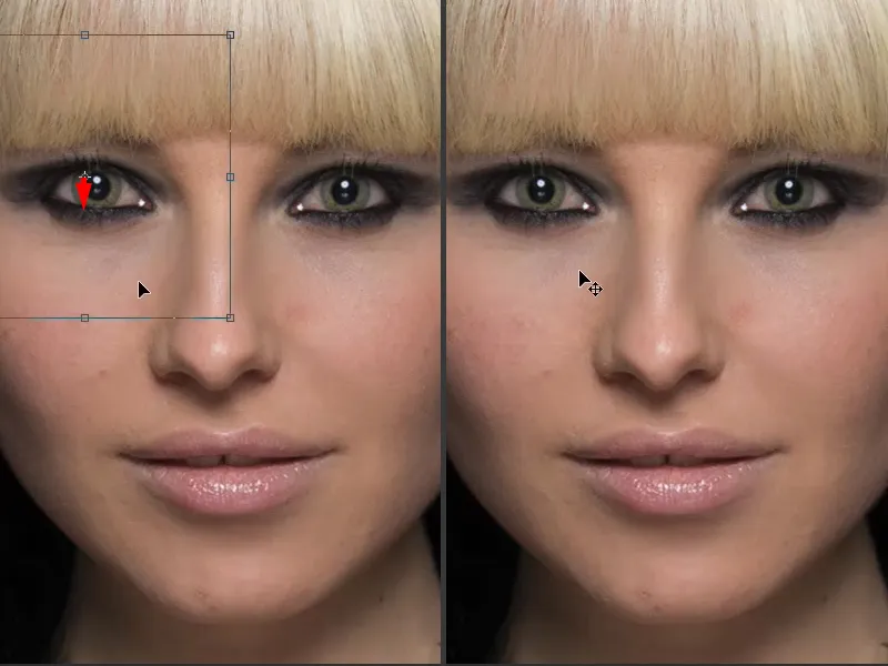 Looks & Styles with Photoshop - Replacing large areas Looks & Styles with Photoshop - Replacing large areas