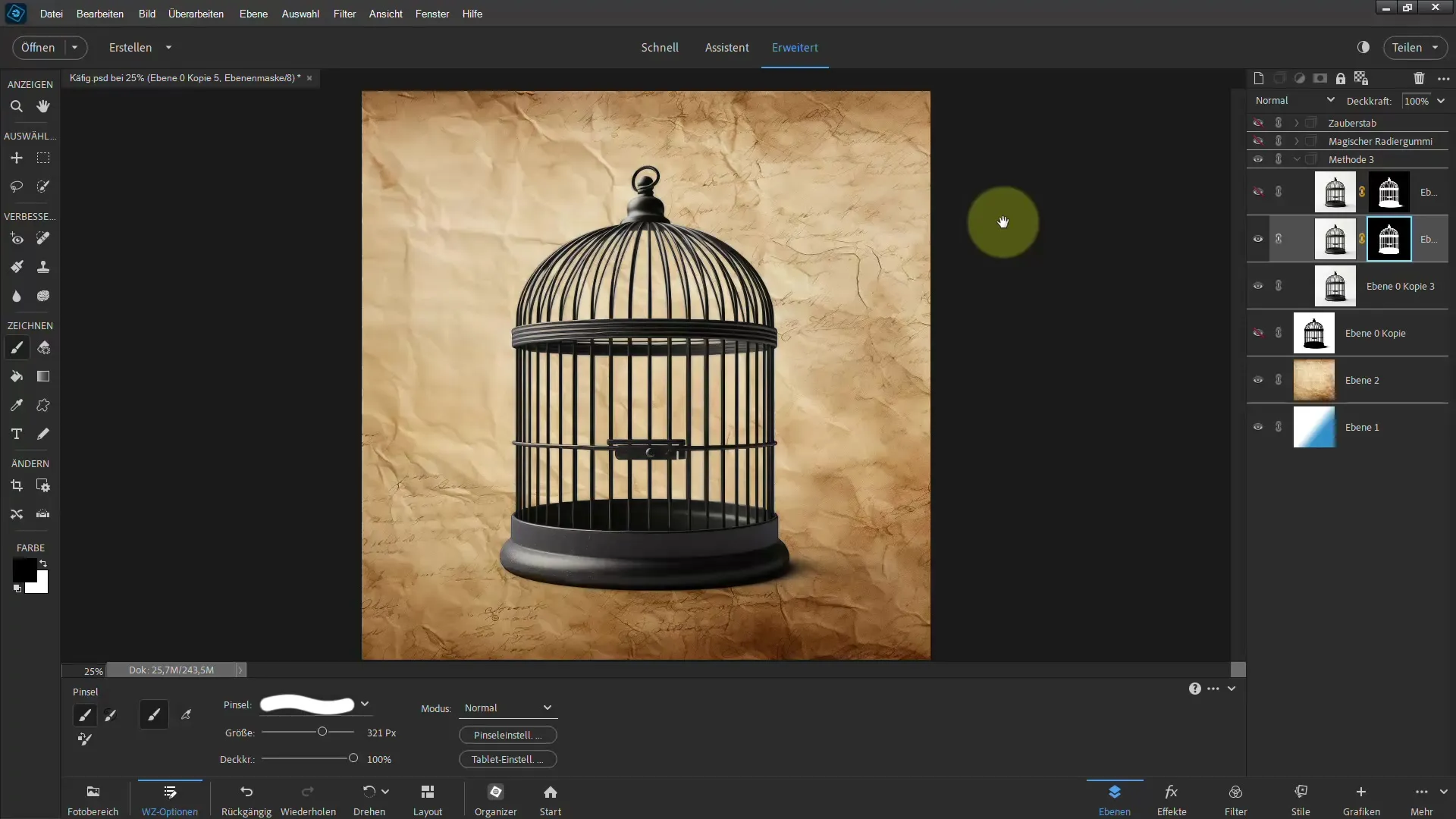 4 effective methods for removing the background in Photoshop Elements