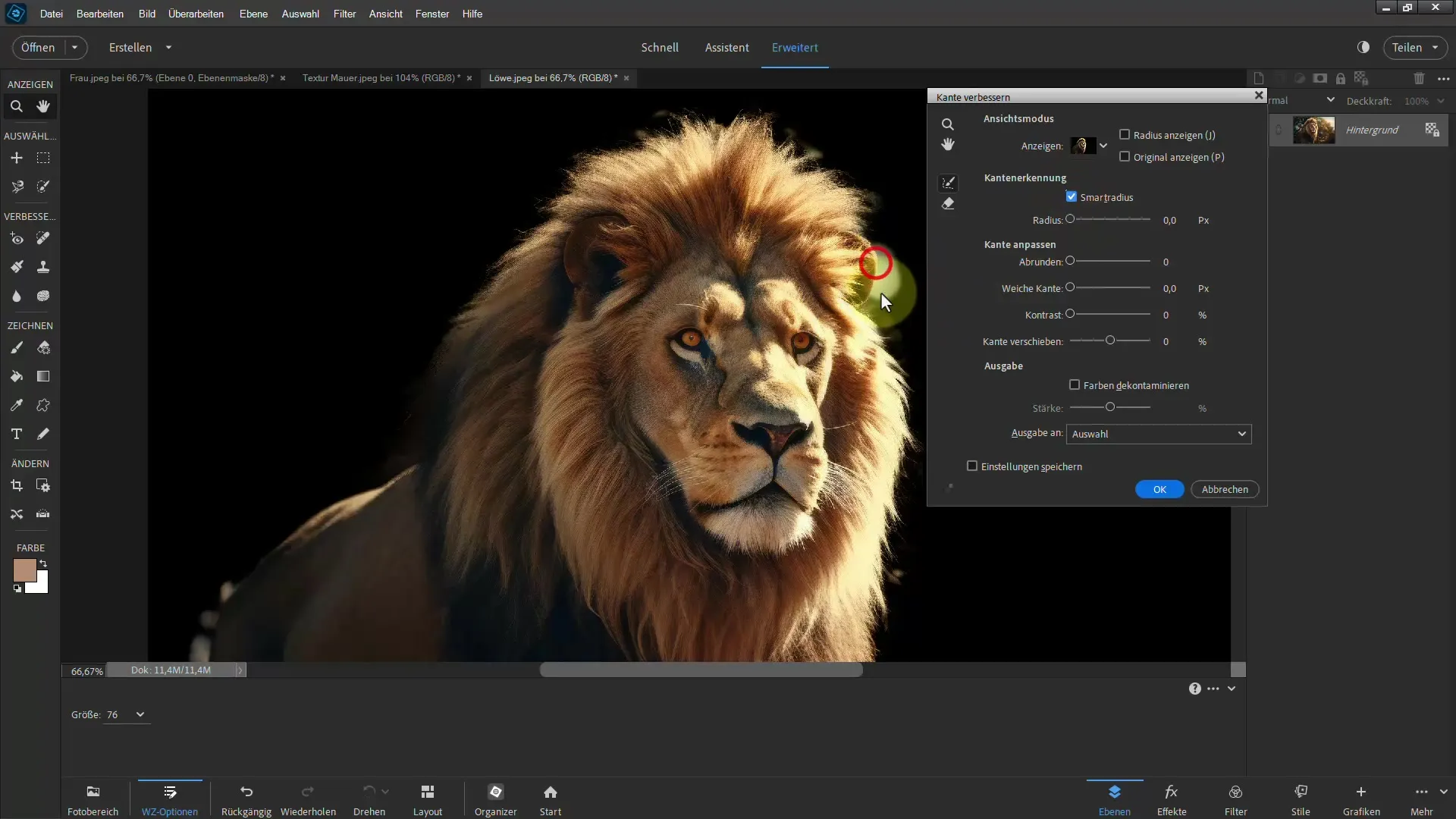 Cutting out a lion: Step-by-step guide for Photoshop Elements