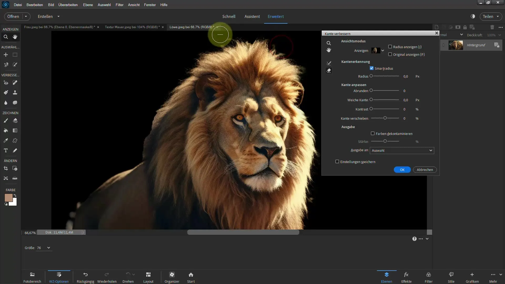 Cutting out a lion: Step-by-step guide for Photoshop Elements