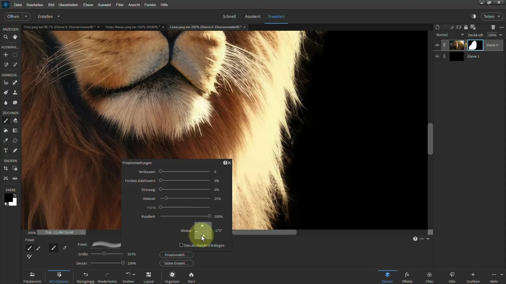 Clipping a lion: Step-by-step guide for Photoshop Elements