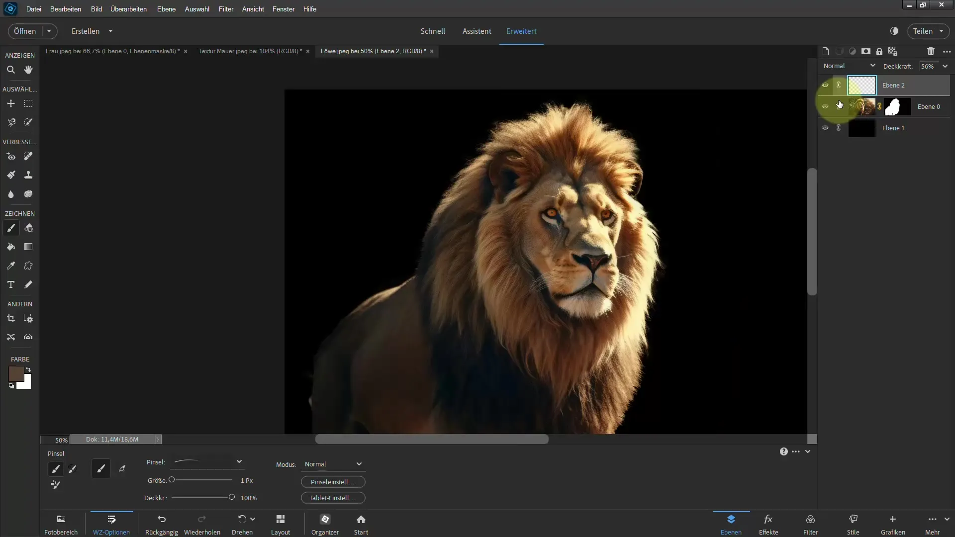 Clipping a Lion: Step-by-Step Guide for Photoshop Elements